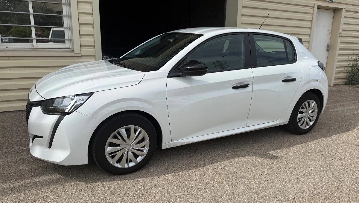 Peugeot 208 société 2 places